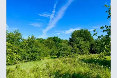 Lot 53 Wicklow Court, Poolville, TX 76487 - Photo 1