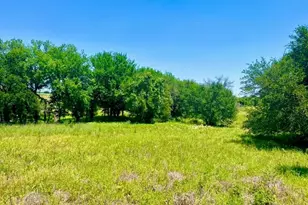 Lot 89 Kerry Ct, Poolville, TX 76487 - Photo 1