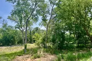 Lot 46 Antrim Ct, Poolville, TX 76487 - Photo 1