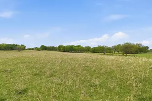 10965 Swafford Rd, Justin, TX 76247 - Photo 26