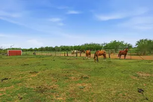 10965 Swafford Rd, Justin, TX 76247 - Photo 12