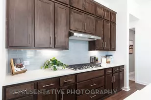 3768 Bermuda Grass Wy, Midlothian, TX 76084 - Photo 10