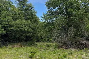 Lot 96 Kilkenny Rd, Poolville, TX 76487 - Photo 1