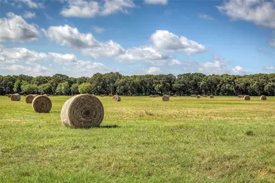 3812 County Road 120, Wills Point, TX 75169 - Photo 12