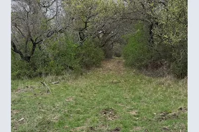 Tbd Co Rd 369, Carbon, TX 76435 - Photo 10