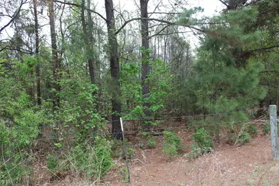 0 Cr-4600, Athens, TX 75752 - Photo 18