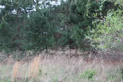 0 Cr-4600, Athens, TX 75752 - Photo 22