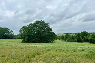 Lot 14 Arlow Rd, Poolville, TX 76487 - Photo 1