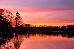 313 Pr 8693, Winnsboro, TX 75783 - Photo 30