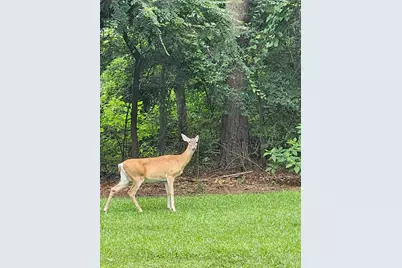 313 Pr 8693, Winnsboro, TX 75783 - Photo 28