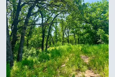 Lot 44 Antrim Court, Poolville, TX 76487 - Photo 2