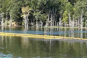 6435 Fm 17 Lots 68-77, Yantis, TX 75497 - Photo 34