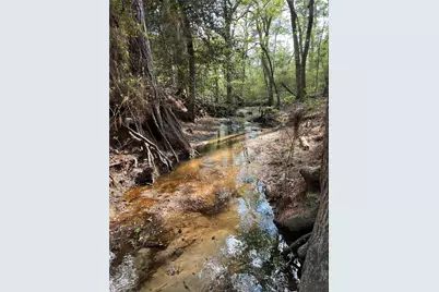 689 & 691 Fm 1272, Grapeland, TX 75844 - Photo 40