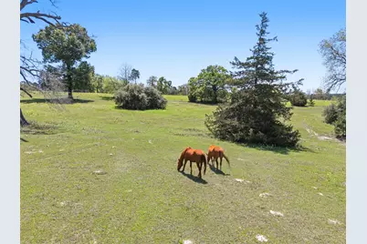689 & 691 Fm 1272, Grapeland, TX 75844 - Photo 2