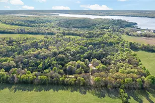 394 County Rd 32900, Paris, TX 75460 - Photo 4