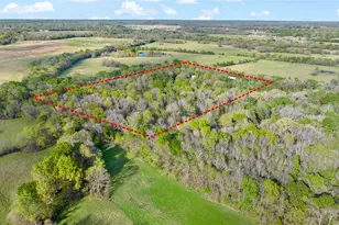 394 County Rd 32900, Paris, TX 75460 - Photo 8