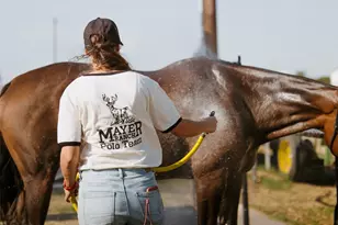 3800 Historic Ln, Cross Roads, TX 76227 - Photo 28