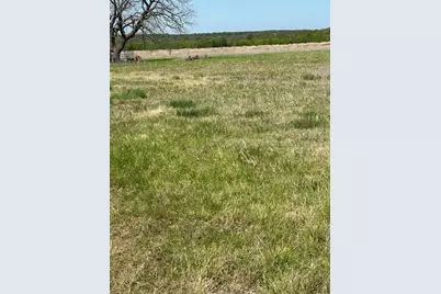 38295 N State Highway 108, Mingus, TX 76463 - Photo 8