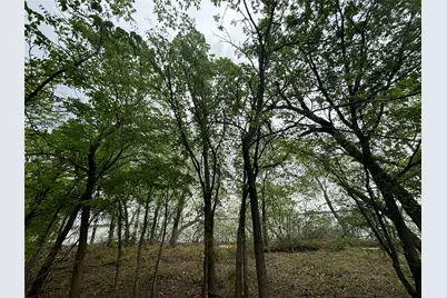 161 Aspen Road, Shady Shores, TX 76208 - Photo 18