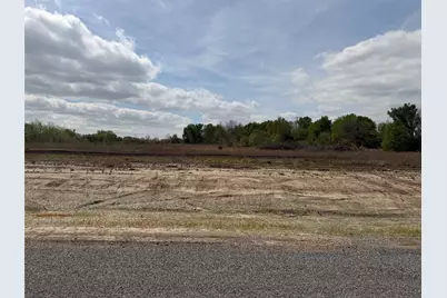 Lot 3 County Road 1110, Farmersville, TX 75442 - Photo 8