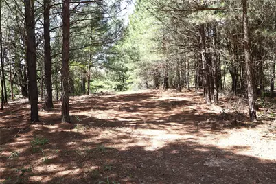 Tbd Fm 317, Chandler, TX 75758 - Photo 18