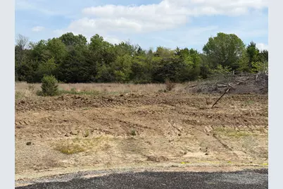 Lot 13 County Road 1110, Farmersville, TX 75442 - Photo 4