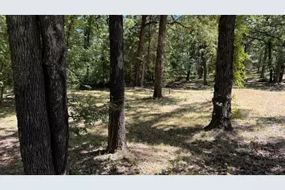 409 Spinnaker Run, Oak Point, TX 75068 - Photo 12