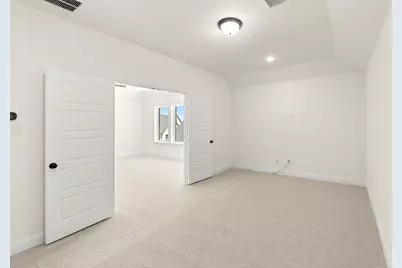 321 Bay Laurel Road, McKinney, TX 75071 - Photo 24