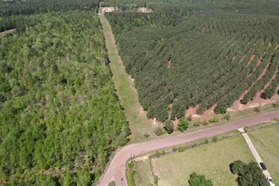 Tbd Lincoln Springs Rd, Gladewater, TX 75647 - Photo 6