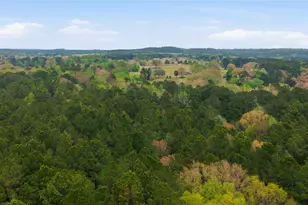 17804 Co Rd 4325, Frankston, TX 75163 - Photo 32