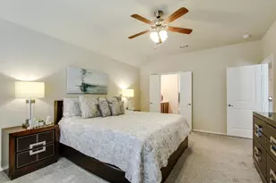 8732 Whirlwind Trail, Aubrey, TX 76227 - Photo 16