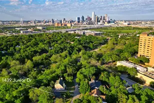 1439 Junior Dr, Dallas, TX 75208 - Photo 38
