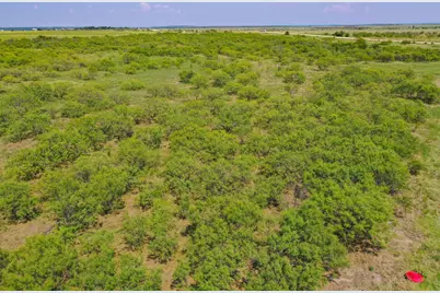 54.53 Acres Hwy 199 Road, Jacksboro, TX 76458 - Photo 12