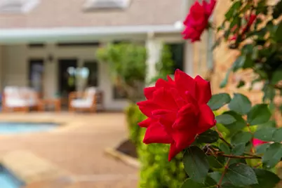 5824 Gallant Fox Lane, Plano, TX 75093 - Photo 38