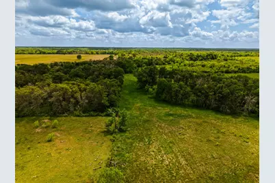 Tbd Tx-14, Groesbeck, TX 76642 - Photo 22