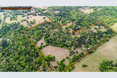 325 Fcr 261, Oakwood, TX 75855 - Photo 1