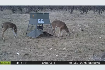 Tbd Tbd County Rd 291, Breckenridge, TX 76464 - Photo 12