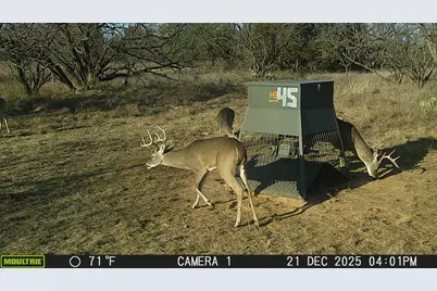 Tbd Tbd County Rd 291, Breckenridge, TX 76464 - Photo 8