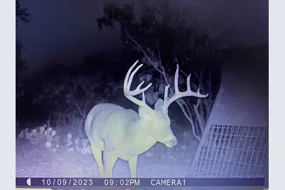 Tbd Tbd County Rd 291, Breckenridge, TX 76464 - Photo 2