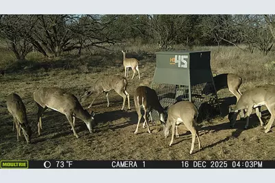 Tbd Tbd County Rd 291, Breckenridge, TX 76464 - Photo 6