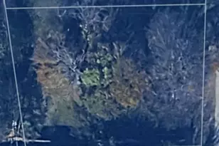 249 Wildwind St, Gun Barrel City, TX 75156 - Photo 1