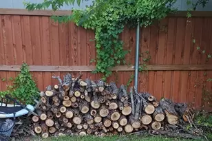 1202 Spanish Flower Dr, Granbury, TX 76048 - Photo 22