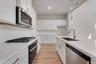 8313 Huron Peak Dr, Frisco, TX 75034 - Photo 8