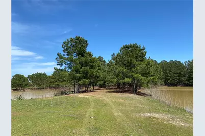 1215 Cr4165, Quitman, TX 75783 - Photo 8