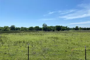 1215 Cr4165, Quitman, TX 75783 - Photo 26