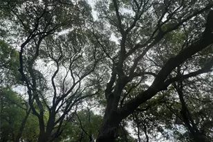 19045 NW County Road 3204, Dawson, TX 76639 - Photo 6