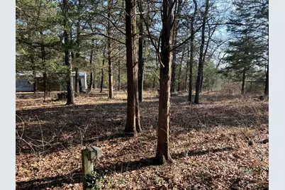 0000 Sweetgum Drive, Murchison, TX 75778 - Photo 10