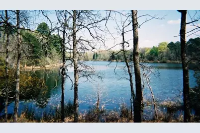 9349 Safari Shores Drive, LaRue, TX 75770 - Photo 1