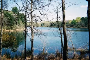 9349 Safari Shores Drive, LaRue, TX 75770 - Photo 1