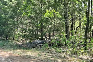 2110 Co Rd 1220, Savoy, TX 75479 - Photo 30